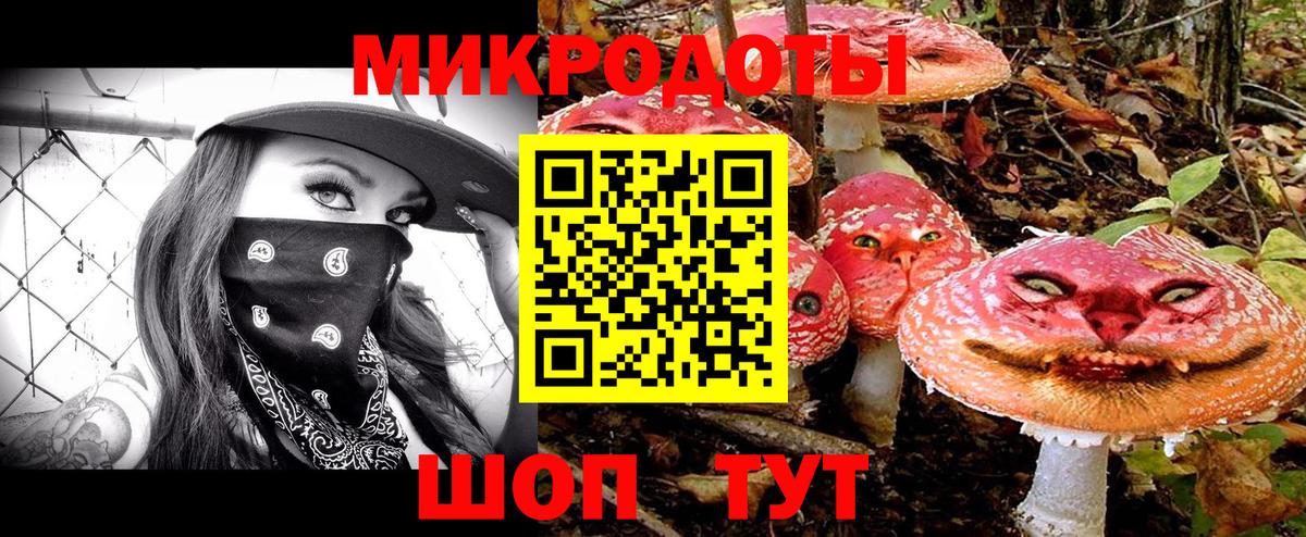 купить наркотики цена  Вход с VPN  Советск  Галлюциногенные грибы GOLDEN TEACHER 
