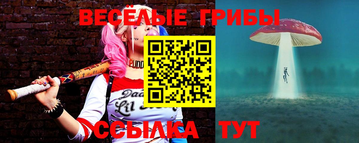 Псилоцибиновые грибы Cubensis Советск